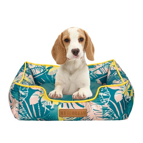 365 pet supplies.